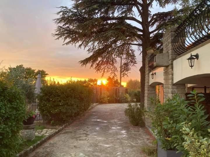 Bed and Breakfast Terre de Bacchus Vacqueyras Exterior foto